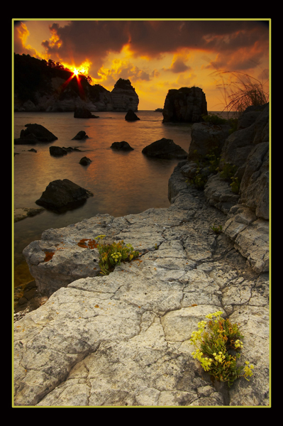 1600200-23a9f2ae3099bfdb_2_