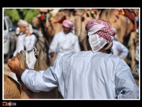 صور من ابداع اعضاء عمان فوتو