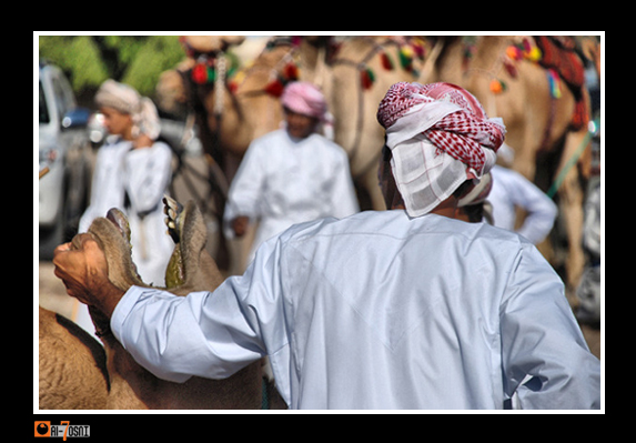 صور من ابداع اعضاء عمان فوتو