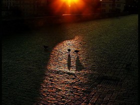 صور منوعة من الإنترنت