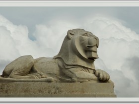 صور منوعة من الإنترنت