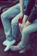 9h5sfr