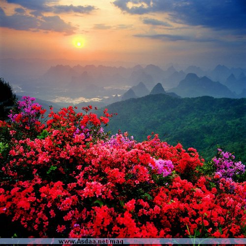 image023