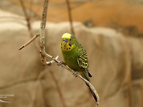IMG_0483