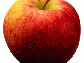 mccoon_1_