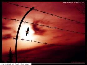 nice_pic_design_photo_105_1_
