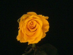صور من ابداع اعضاء عمان فوتو