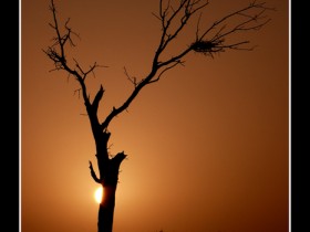 صور من ابداع اعضاء عمان فوتو