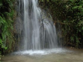 صور من ابداع اعضاء عمان فوتو