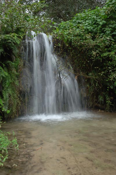 صور من ابداع اعضاء عمان فوتو