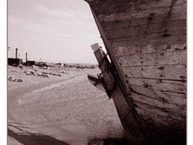 صور من ابداع اعضاء عمان فوتو