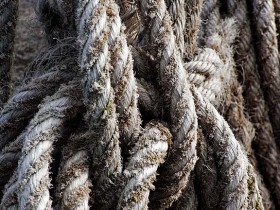 صور منوعة من الإنترنت