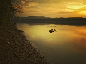 صور منوعة من الإنترنت