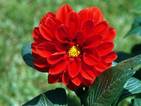 PTBL0031