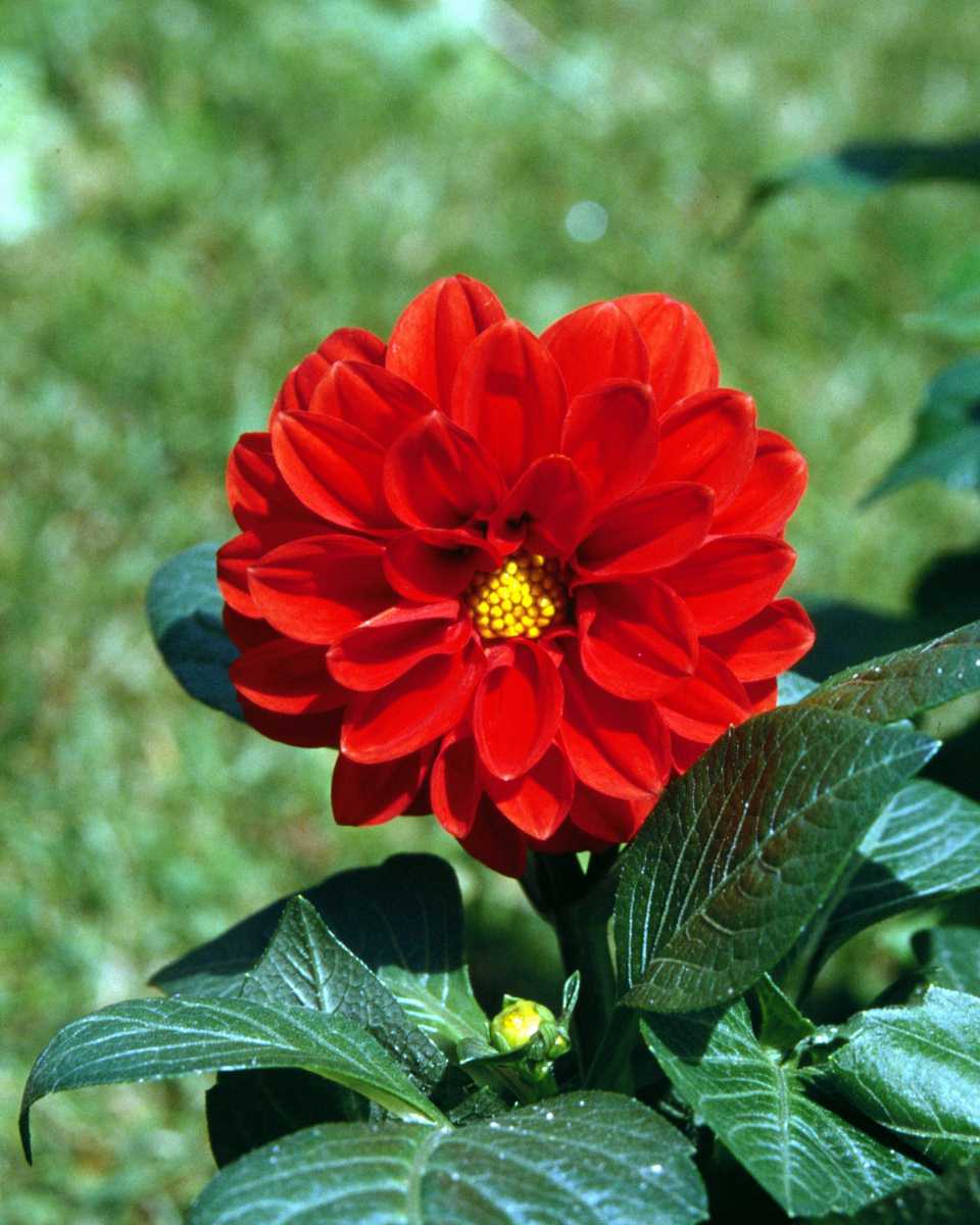 PTBL0031