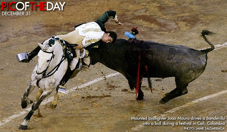 مصارعة الثيران