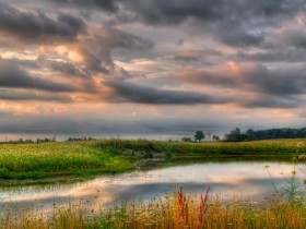 صور منوعة من الإنترنت