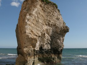 صور منوعة من الإنترنت