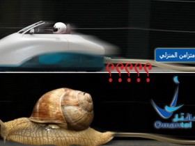 مقاطعة شبكات الاتصال في السلطنة