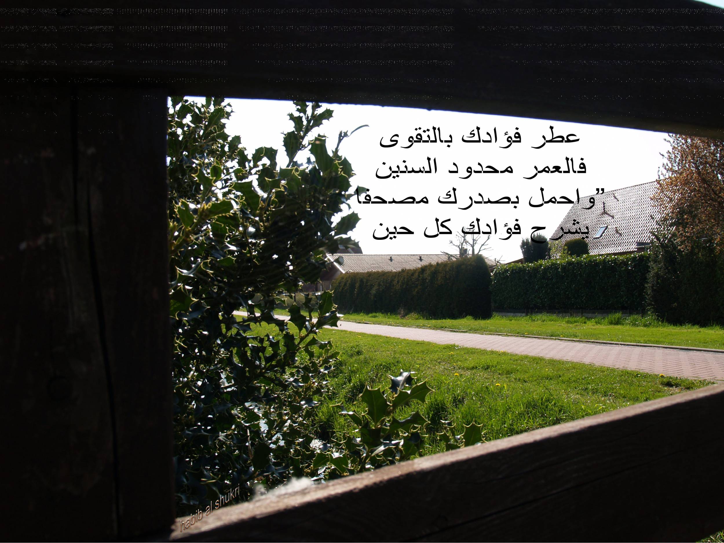 عطر