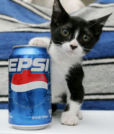 cat1_381x450