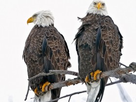 image0182