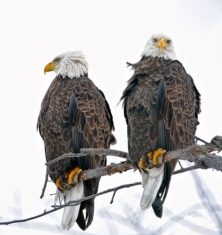 image0182