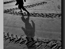 صور من ابداع اعضاء عمان فوتو