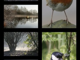 صور منوعة من الإنترنت