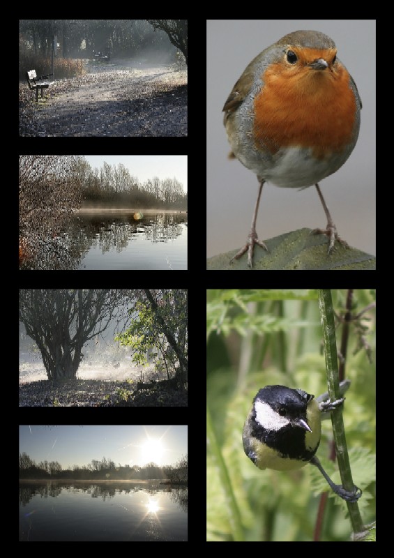 صور منوعة من الإنترنت