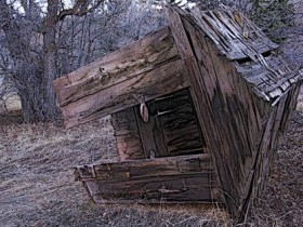 صور منوعة من الإنترنت