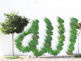 A061