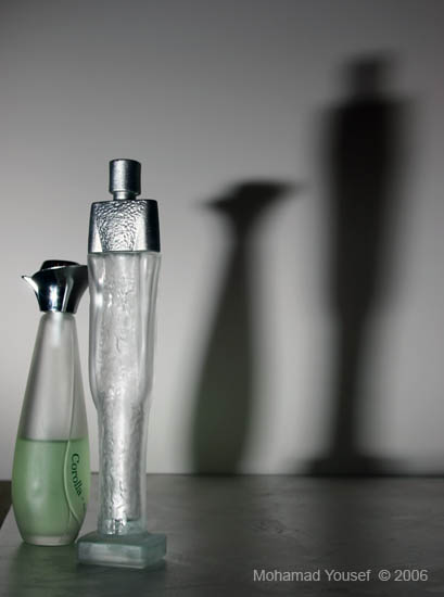 صور من ابداع اعضاء عمان فوتو
