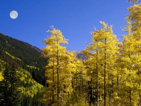 صور منوعة من الإنترنت