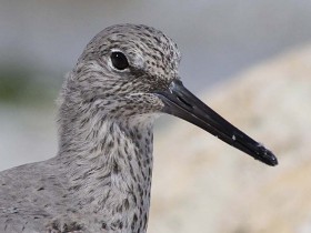 صور منوعة من الإنترنت