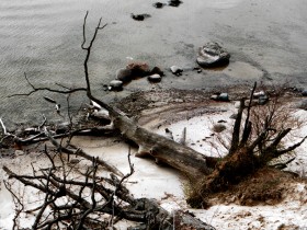 1517924-ed2266230b4e9c84_1_