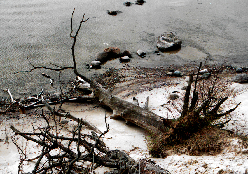 1517924-ed2266230b4e9c84_1_