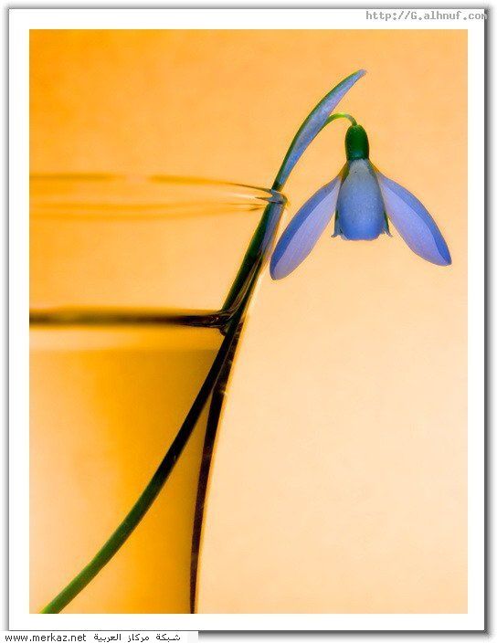 nice_pic_design_photo_62_1_