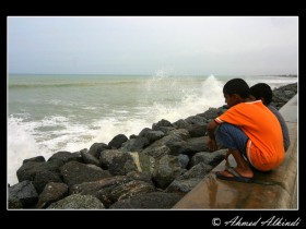 صور من ابداع اعضاء عمان فوتو