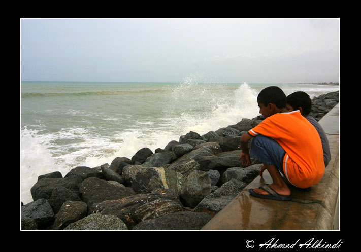 صور من ابداع اعضاء عمان فوتو