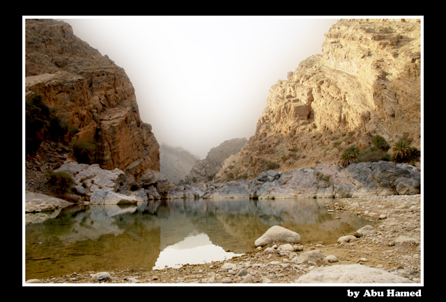 صور من ابداع اعضاء عمان فوتو