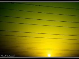 صور من ابداع اعضاء عمان فوتو
