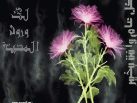 بطاقات الأعياد