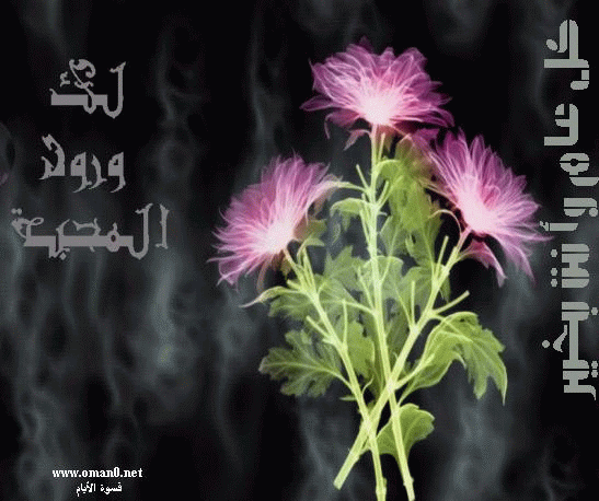 بطاقات الأعياد