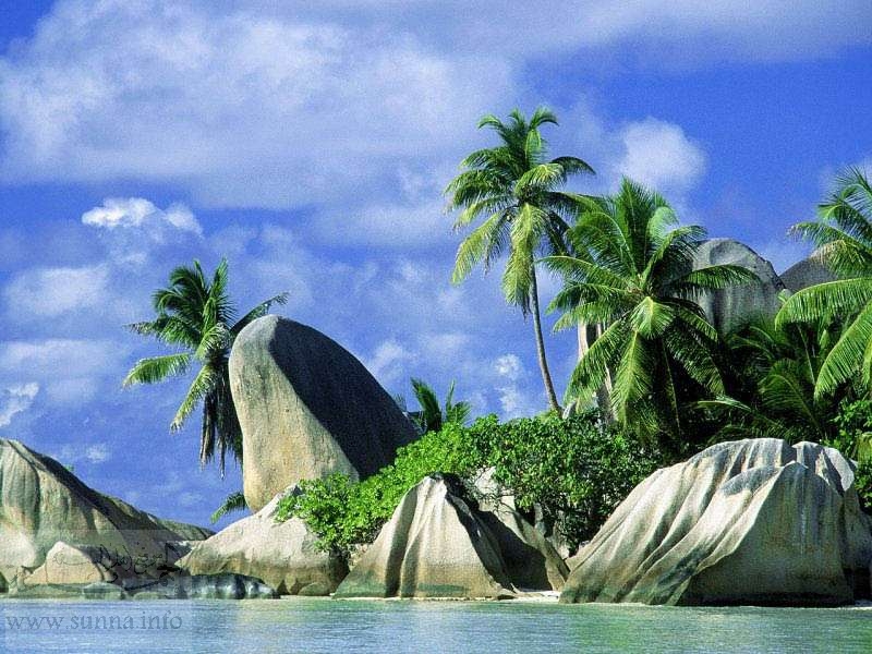 nature1