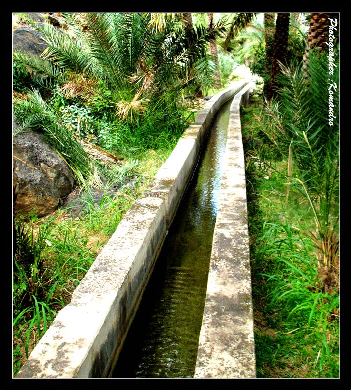 مسفاة العبريين