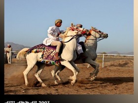 صور من ابداع اعضاء عمان فوتو