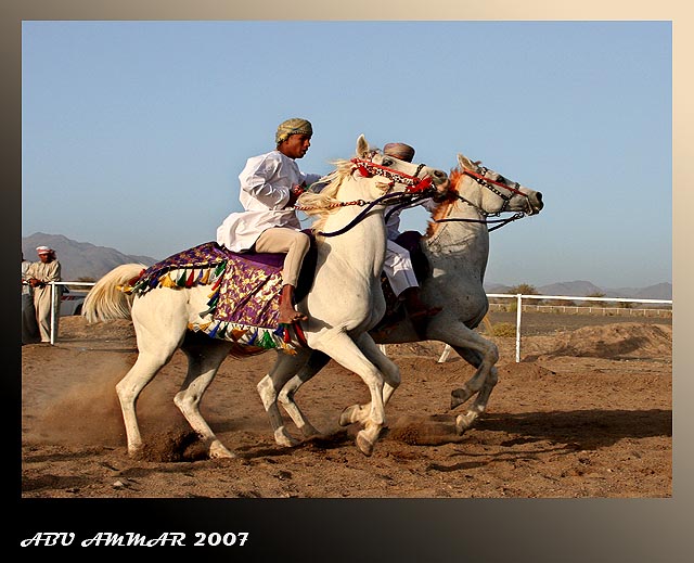 صور من ابداع اعضاء عمان فوتو