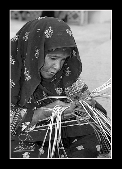 صور من ابداع اعضاء عمان فوتو
