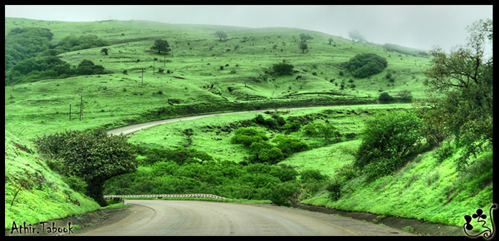 صور من ابداع اعضاء عمان فوتو